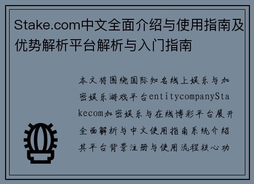Stake.com中文全面介绍与使用指南及优势解析平台解析与入门指南